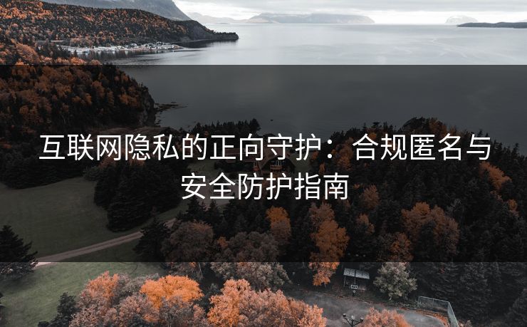 互联网隐私的正向守护：合规匿名与安全防护指南