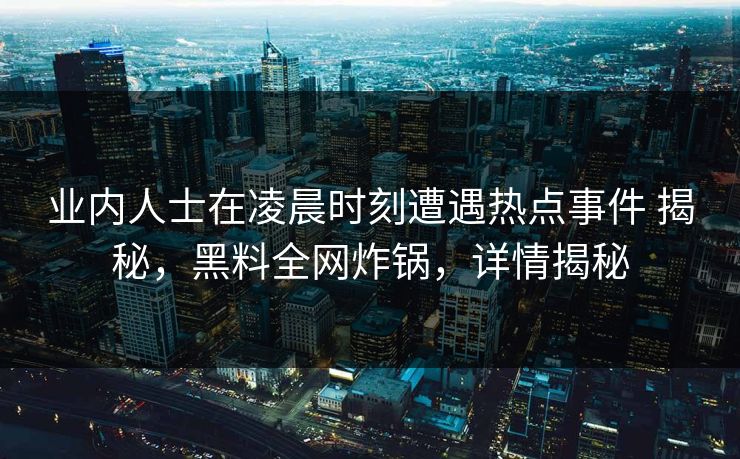 业内人士在凌晨时刻遭遇热点事件 揭秘，黑料全网炸锅，详情揭秘